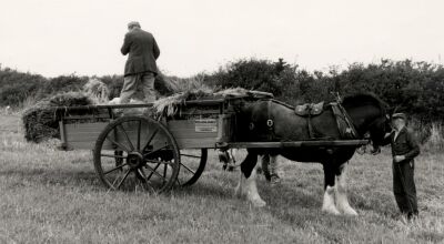 A Day In The Hayfields